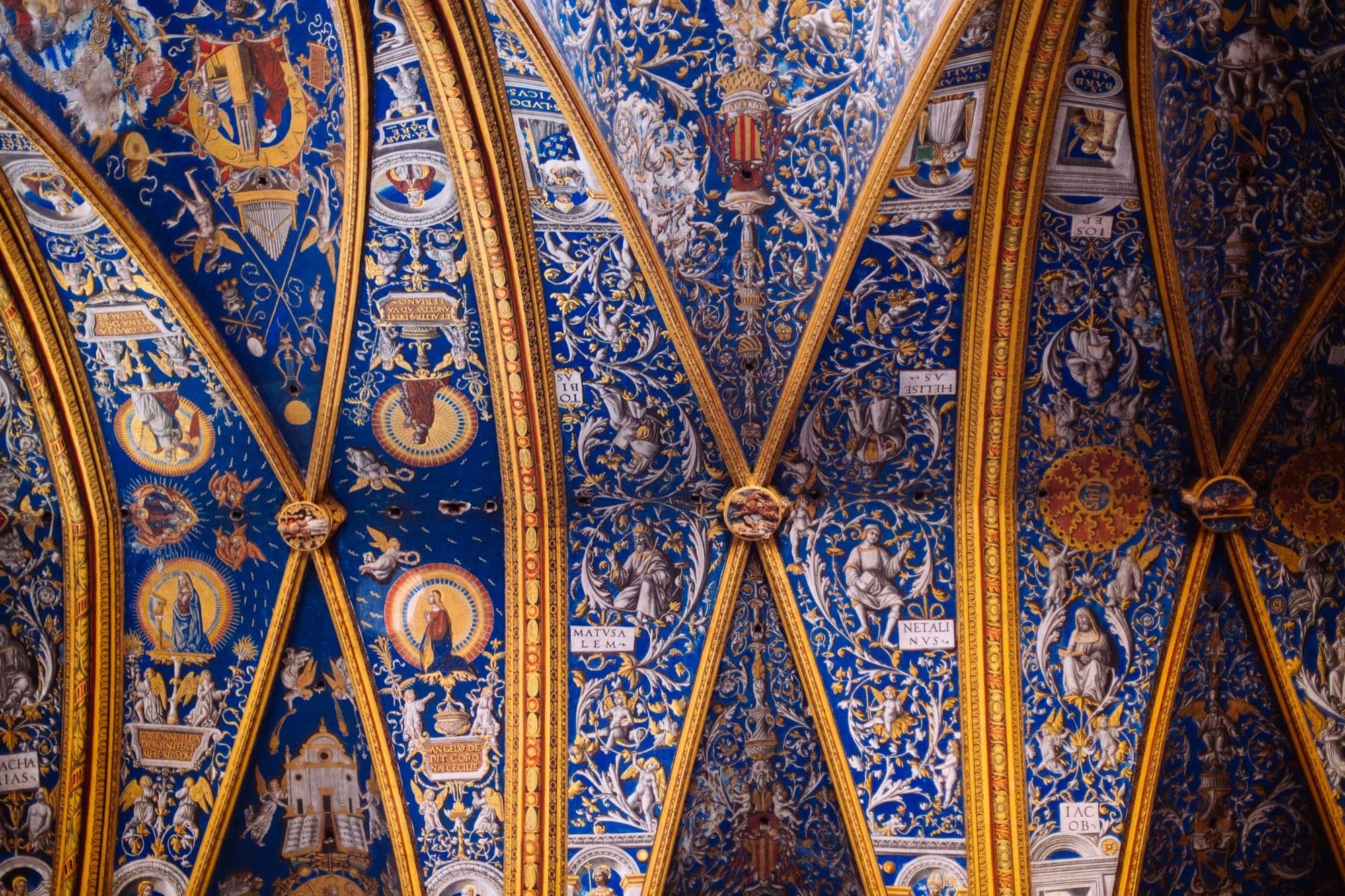 Les voûtes peintes de la cathédrale Sainte-Cécile d'Albi