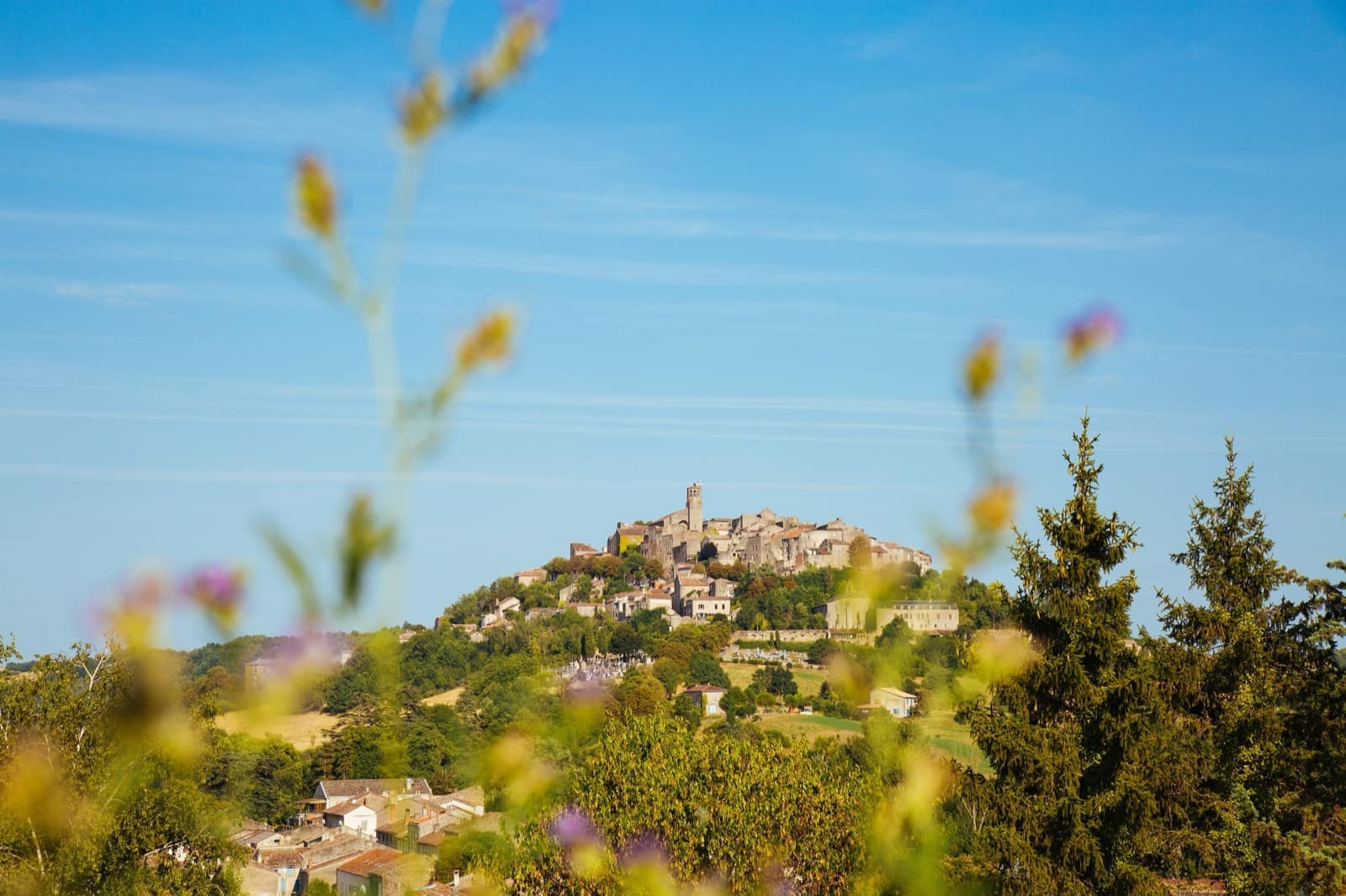 Sendero de las viñas y castillos de Broze