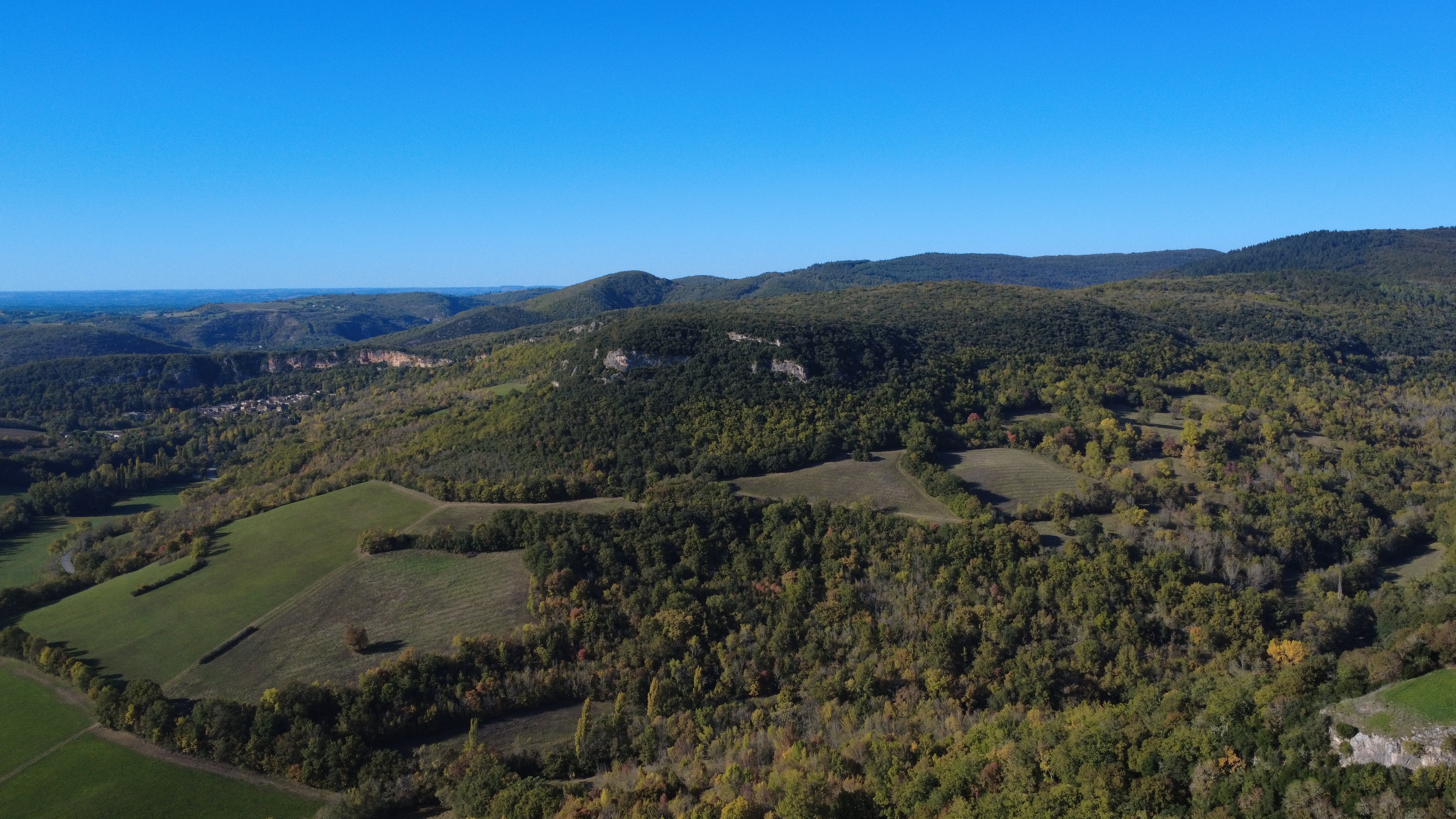 La forêt de la Grésigne, 3 600 hectares de silence