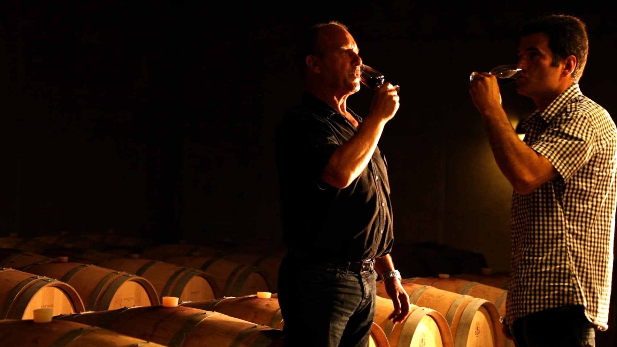 Dégustation dans une cave du vignoble de Gaillac