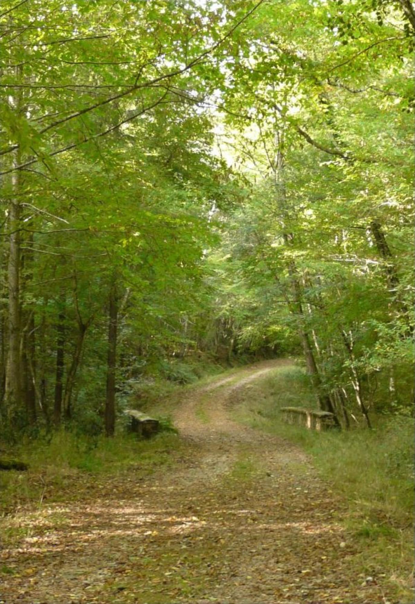 El sendero de la Baronne