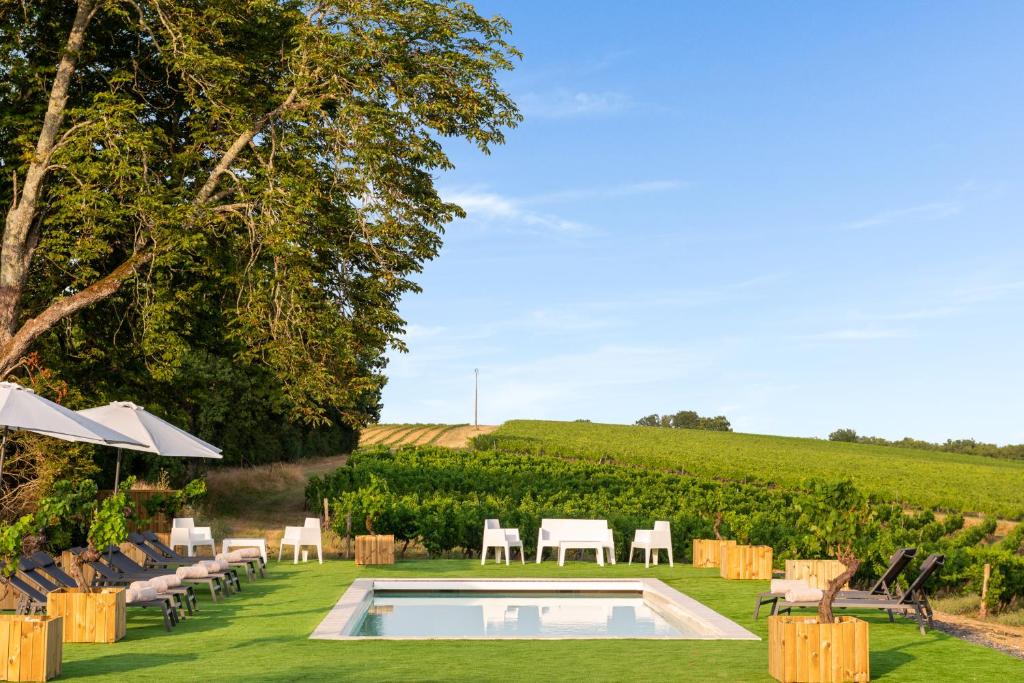 Piscine face aux vignes — © Château de Tauziès