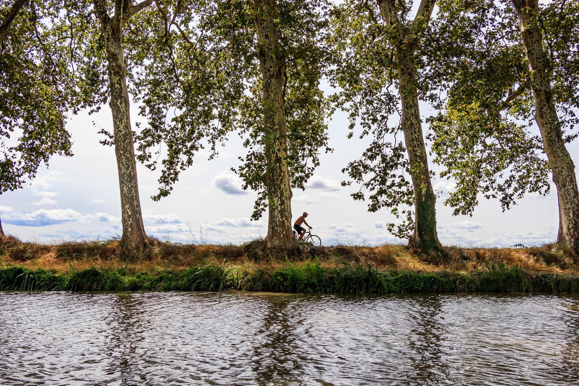 Ciclista por el camino de sirga del Canal du Midi bajo los plátanos