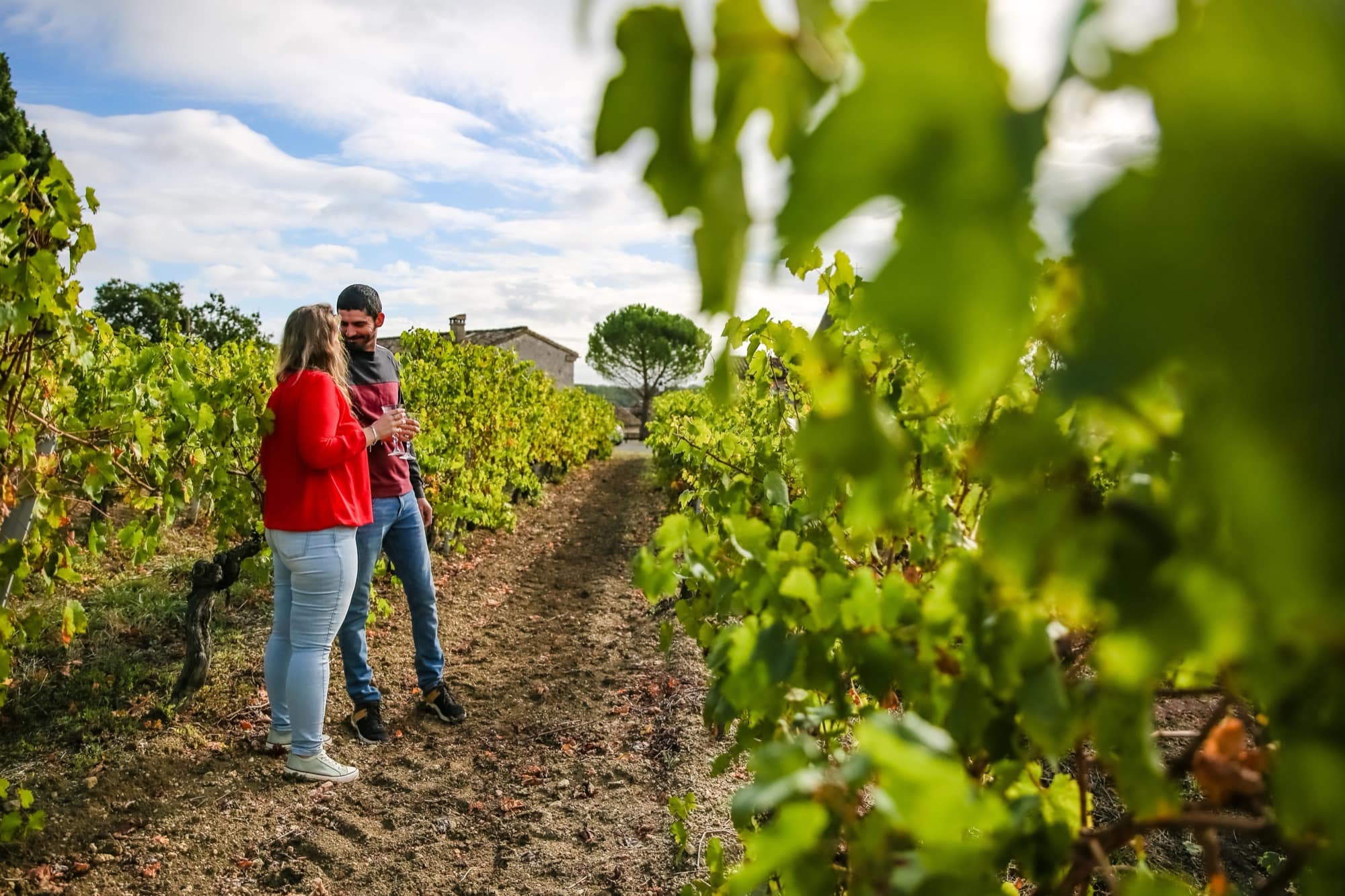 En las viñas de los Hauts de Broze — © Raynaud photos